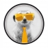 Avatar du membre ysalo