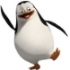 Avatar du membre fab31