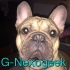 Avatar du membre Gnexogeek