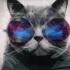 Avatar du membre Babbrick