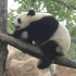 Avatar du membre paulcanari