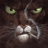 Avatar du membre Catchouse