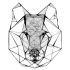 Avatar du membre bobafe