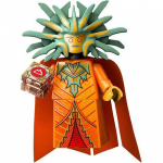 Minifig coldnd10 : La Dame des Douleurs