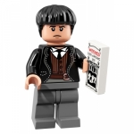 Minifig colhp-21 : Croyance Bellebosse