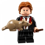 Minifig colhp-3 : Ron Weasley