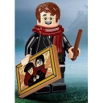 Minifig colhp2-8 : James Potter