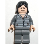 Minifig hp045 : Sirius Black