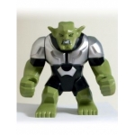Minifig sh102 : Bouffon Vert (76016)