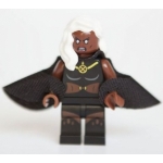Minifig sh116 : Tornade (76022)